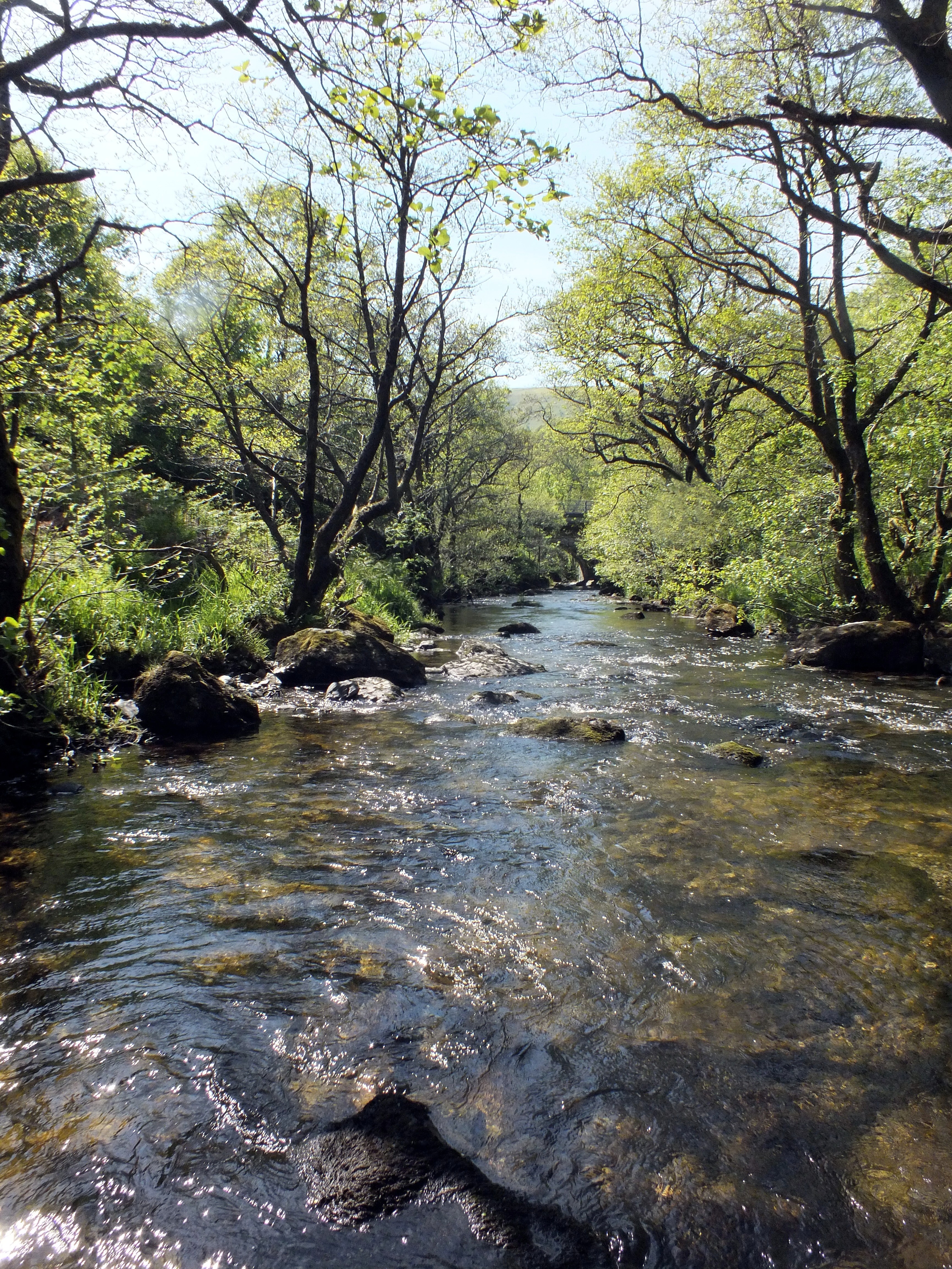 ANOTHER VIEW OF THE MARTEG. Bill Bagley Photography